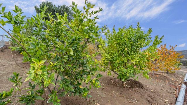 39260 Grassy Road, Temecula, CA 92592