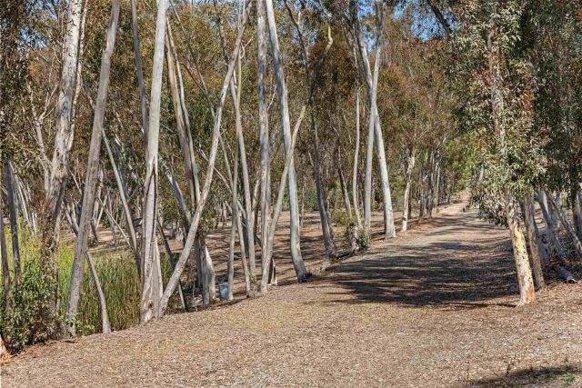 10318 Caminito Agadir, San Diego, CA 92131