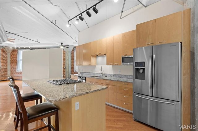 1619 Washington Avenue 704, St Louis, MO 63103