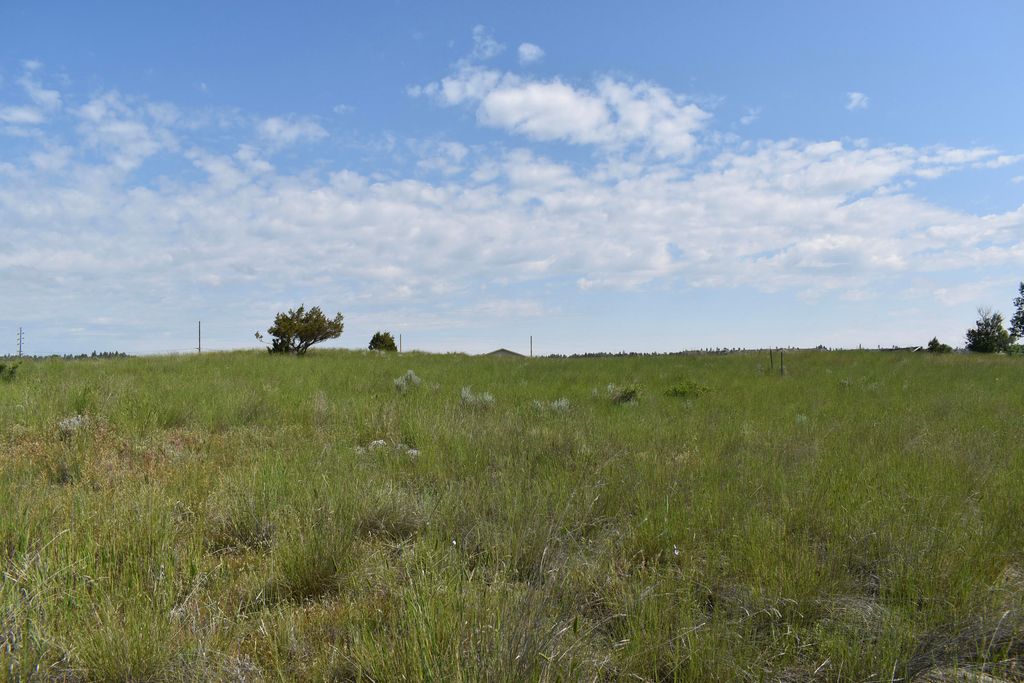TBD 6th St W, Roundup, MT 59072 photo 3