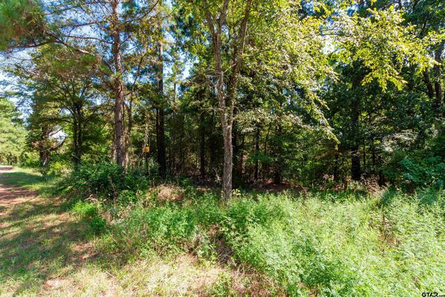 13234 Mountain View Rd S, Winona, TX 75792