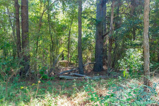 13234 Mountain View Rd S, Winona, TX 75792