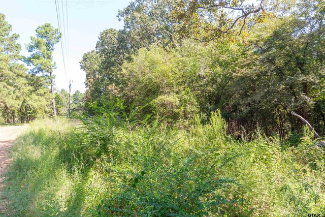 13234 Mountain View Rd S, Winona, TX 75792