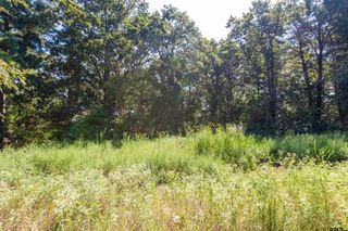 13234 Mountain View Rd S, Winona, TX 75792