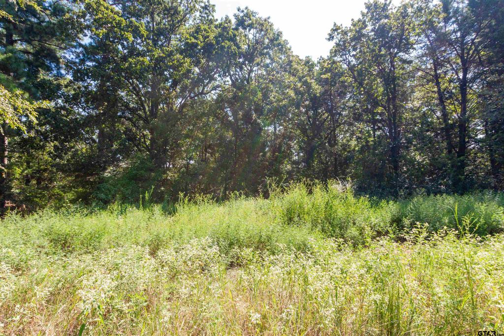13234 Mountain View Rd S, Winona, TX 75792