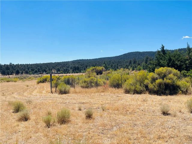 10500 Steinhoff Road, Frazier Park, CA 93225