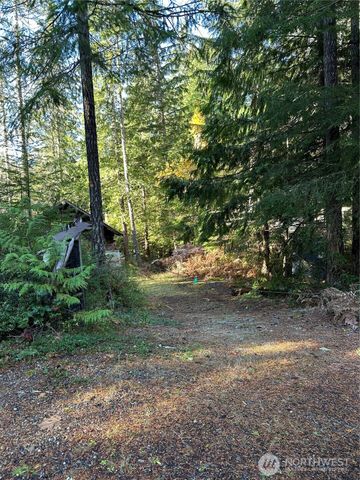 20 N Deer Court, Hoodsport, WA 98548