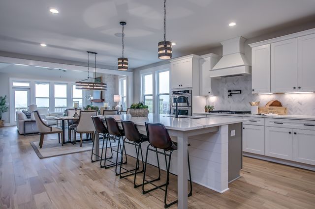3388 Vinemont Drive, Thompsons Station, TN 37179