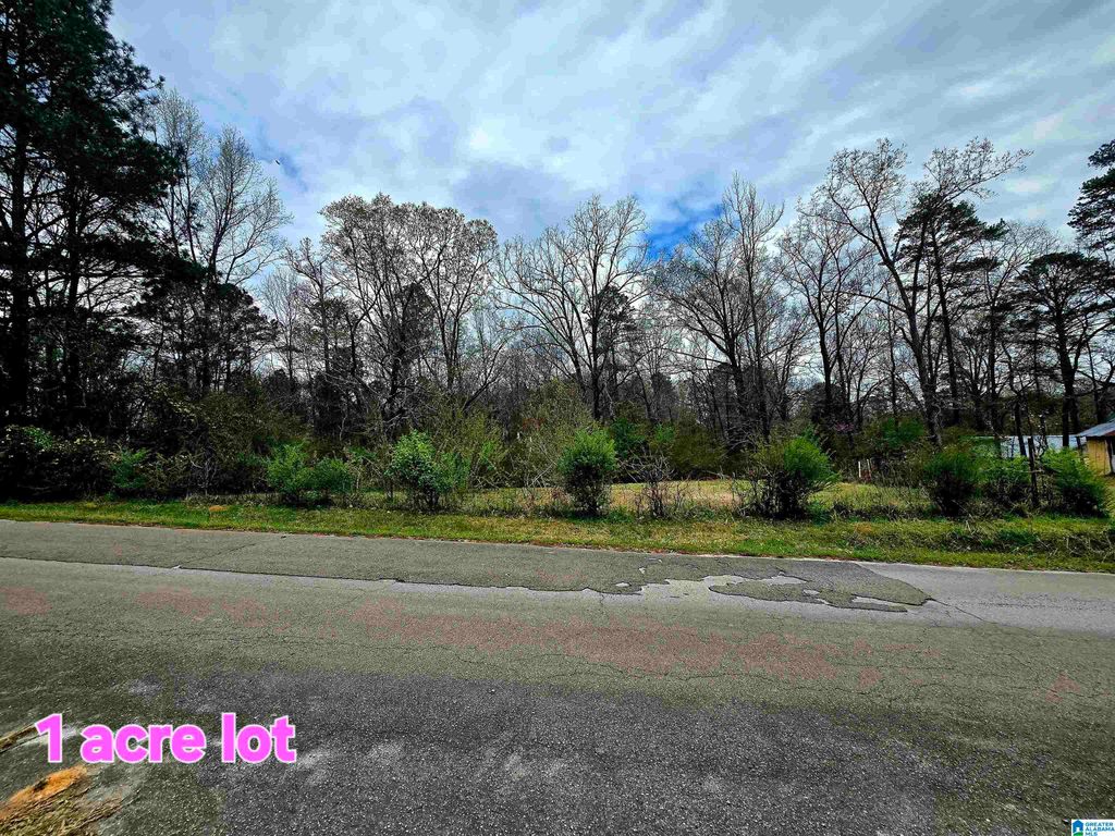 816 4TH STREET NW, Reform, AL 35481