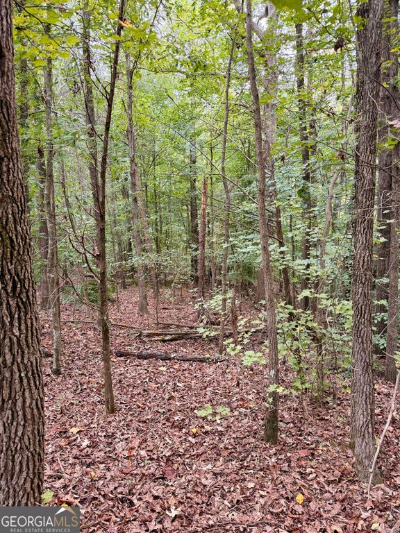 0 Bennett LOT 3, Homer, GA 30547 — photo 3