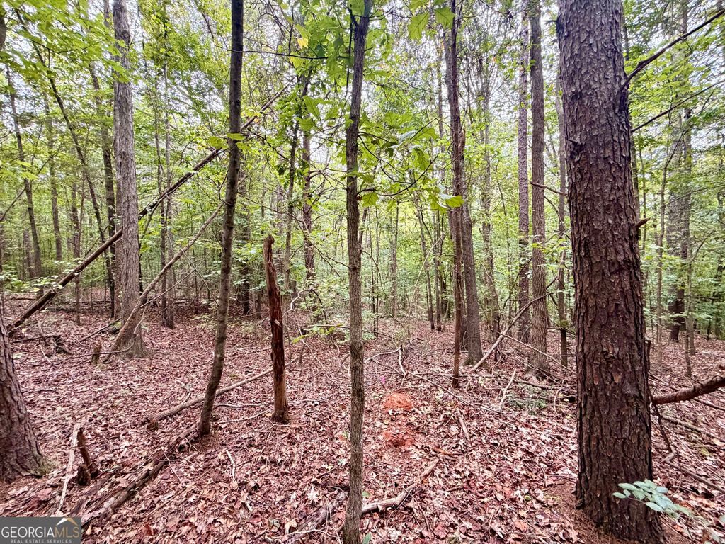 0 Bennett LOT 3, Homer, GA 30547 — photo 5