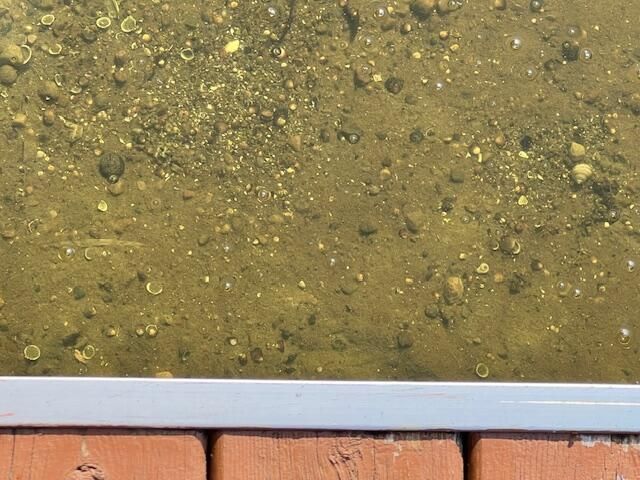 5701 Head Lake Road, Hope Twp, MI 49058