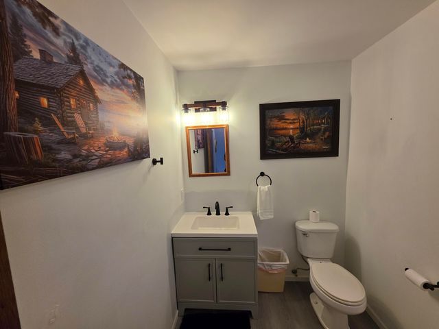 3200 Lake of the Pines Drive, Lake, MI 48632