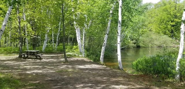 3200 Lake of the Pines Drive, Lake, MI 48632