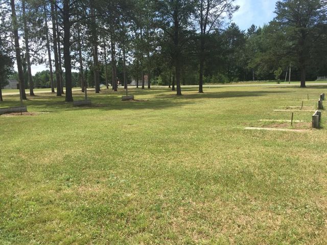 3200 Lake of the Pines Drive, Lake, MI 48632