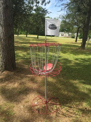 3200 Lake of the Pines Drive, Lake, MI 48632