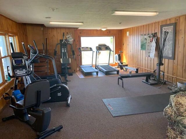 3200 Lake of the Pines Drive, Lake, MI 48632