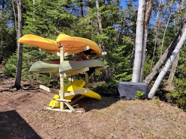 3200 Lake of the Pines Drive, Lake, MI 48632