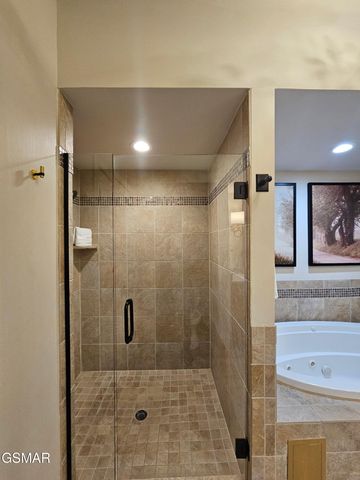 212 Dollywood Lane, Pigeon Forge, TN 37863