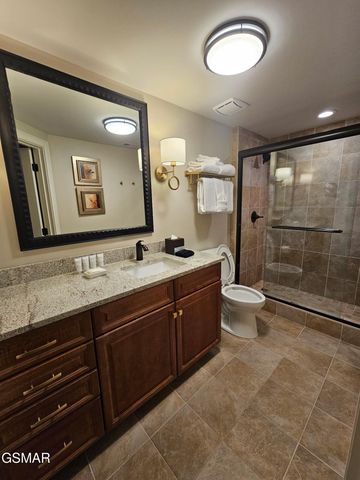 212 Dollywood Lane, Pigeon Forge, TN 37863