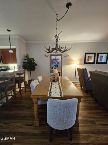 212 Dollywood Lane, Pigeon Forge, TN 37863