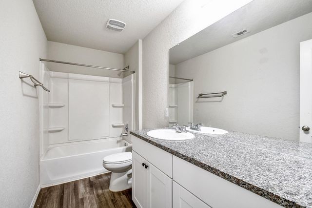 2403 Pechora Pipit, New Braunfels, TX 78130