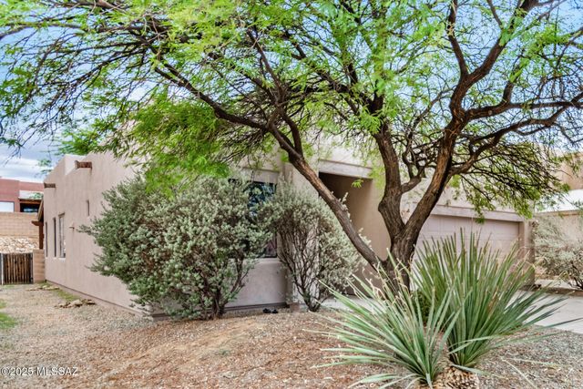 290 E Forrest Feezor Street, Vail, AZ 85641