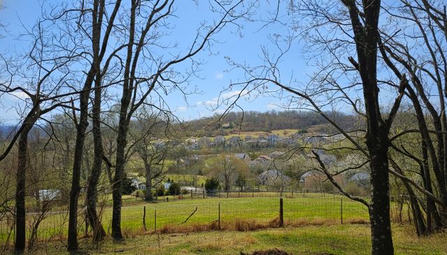 3029 Hartland PVT Lane, Franklin, TN 37069