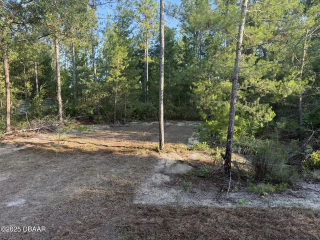 131 Franklin Drive, Hawthorne, FL 32640