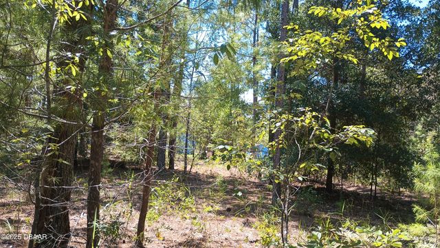 131 Franklin Drive, Hawthorne, FL 32640