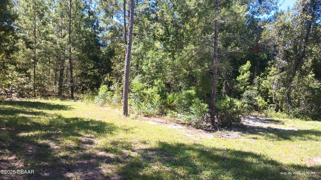 131 Franklin Drive, Hawthorne, FL 32640