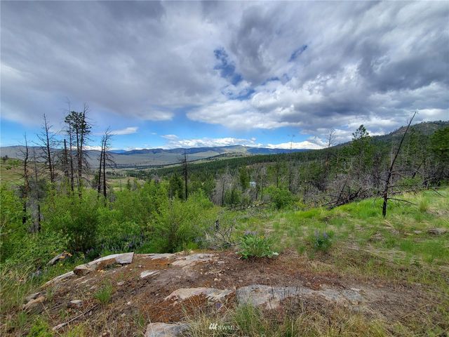 0 960X Knox Road, Riverside, WA 98849