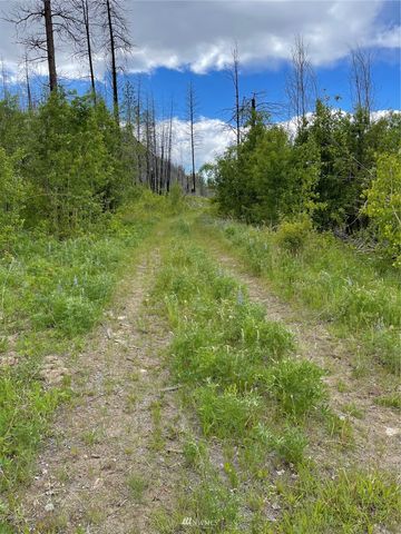 0 960X Knox Road, Riverside, WA 98849