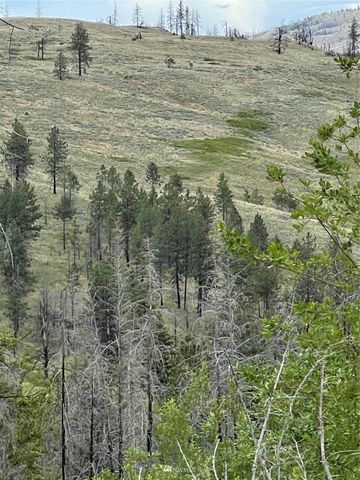 0 960X Knox Road, Riverside, WA 98849