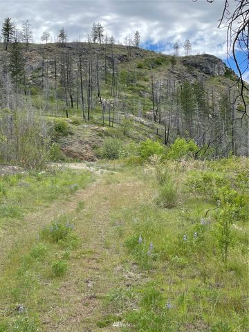 0 960X Knox Road, Riverside, WA 98849