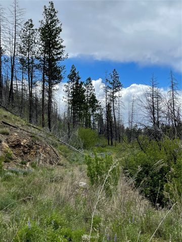 0 960X Knox Road, Riverside, WA 98849