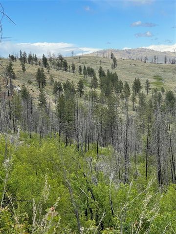 0 960X Knox Road, Riverside, WA 98849