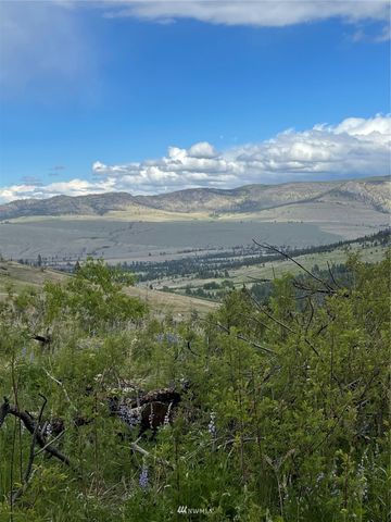 0 960X Knox Road, Riverside, WA 98849