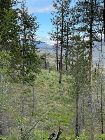 0 960X Knox Road, Riverside, WA 98849