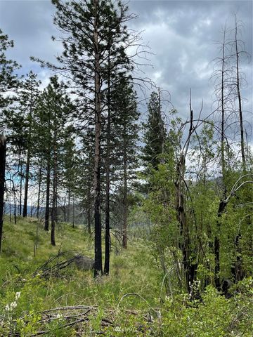 0 960X Knox Road, Riverside, WA 98849