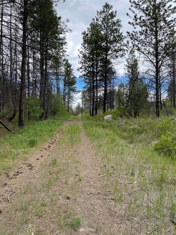 0 960X Knox Road, Riverside, WA 98849