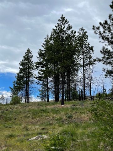 0 960X Knox Road, Riverside, WA 98849