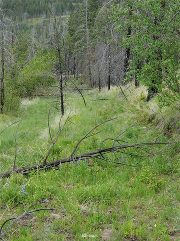 0 960X Knox Road, Riverside, WA 98849