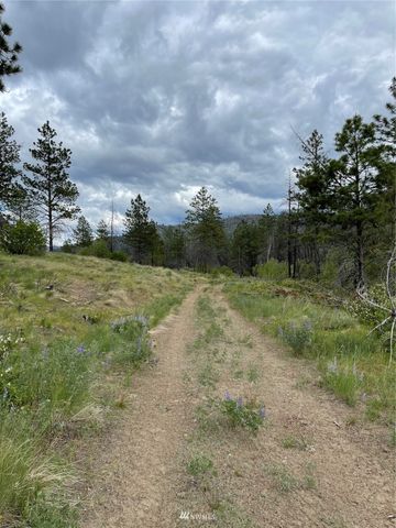 0 960X Knox Road, Riverside, WA 98849