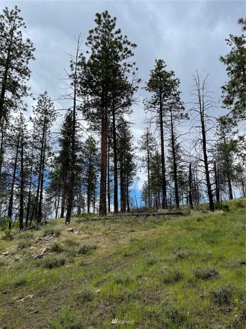 0 960X Knox Road, Riverside, WA 98849