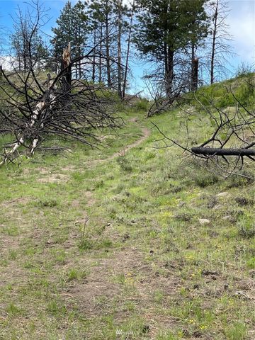 0 960X Knox Road, Riverside, WA 98849