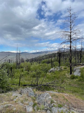 0 960X Knox Road, Riverside, WA 98849