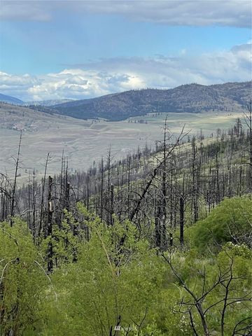 0 960X Knox Road, Riverside, WA 98849