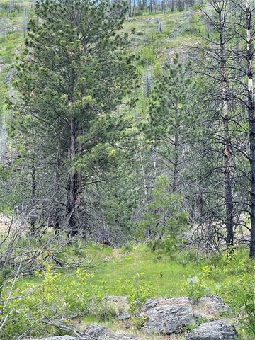 0 960X Knox Road, Riverside, WA 98849