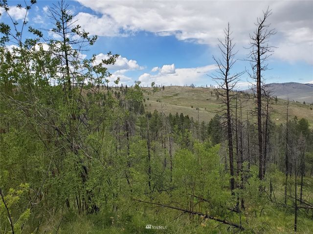 0 960X Knox Road, Riverside, WA 98849